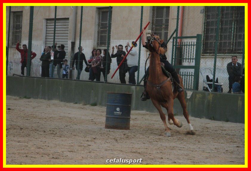 161106 equestre 048_tn.jpg